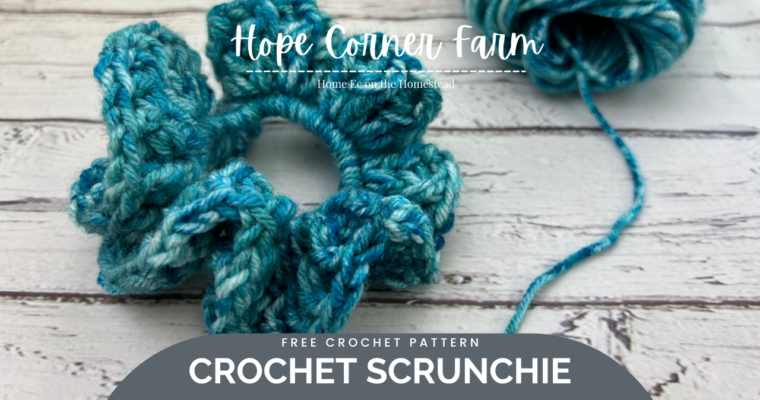 Crochet Scrunchie