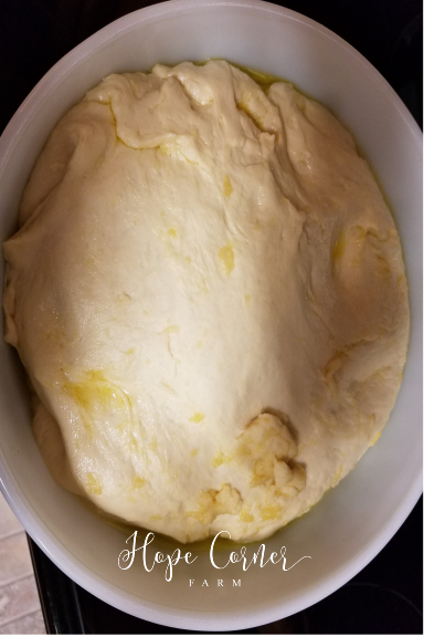 Calzone dough after rising Hope Corner Farm