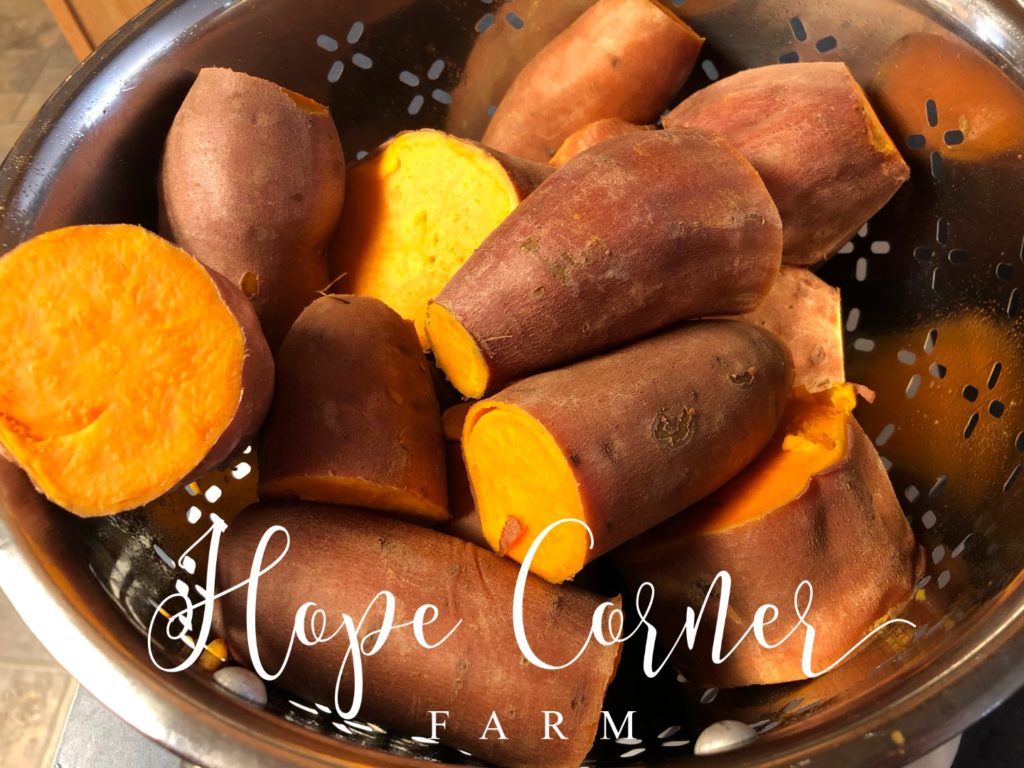 The cooked sweet potatoes/yams Hope Corner Farm