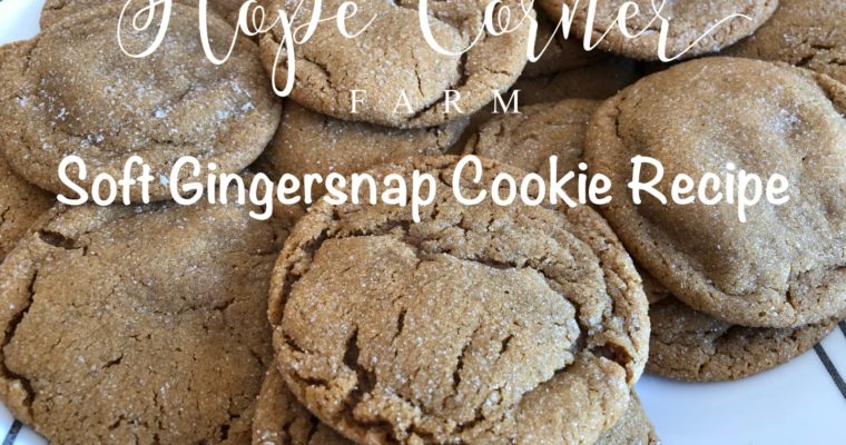 Soft Gingersnap Cookie Recipe