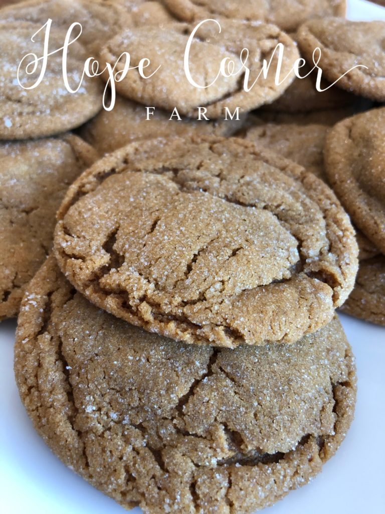 Soft Gingersnap Cookie Recipe Hope Corner Farm