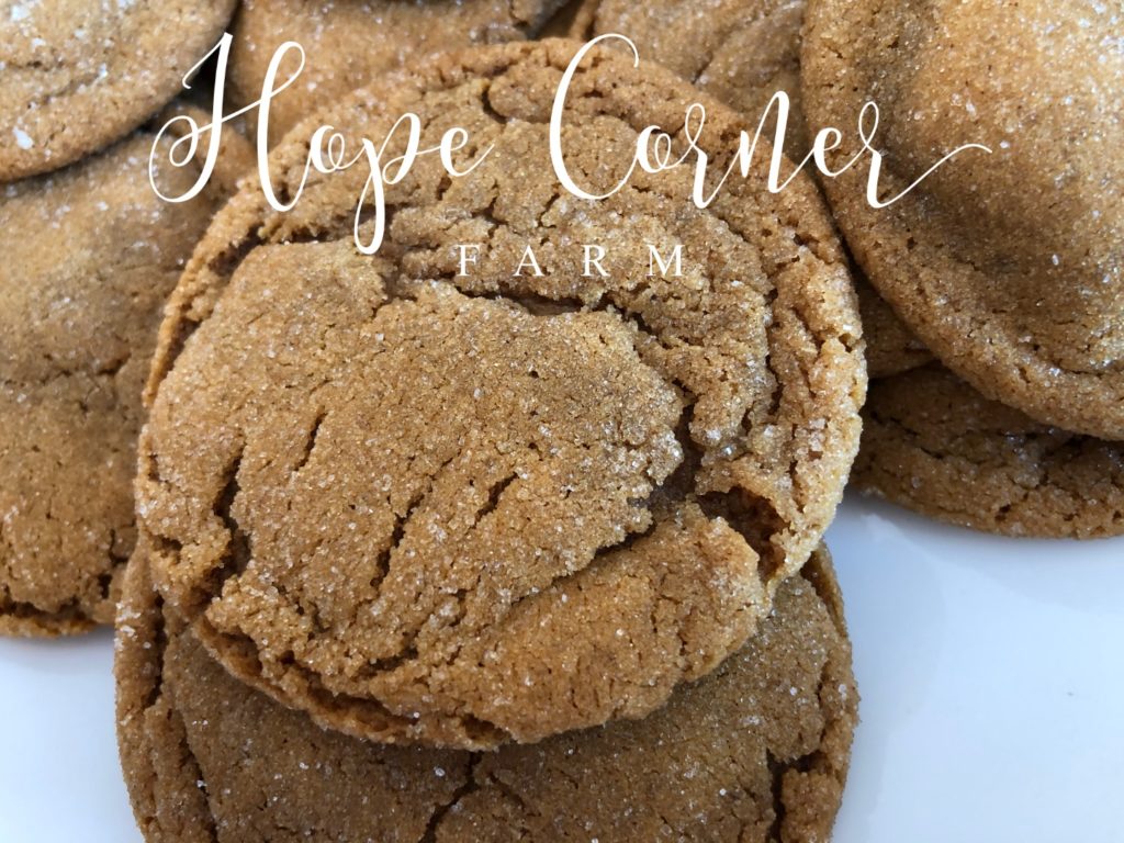 Molasses Soft Gingersnap Cookie Recipe Hope Corner Farm