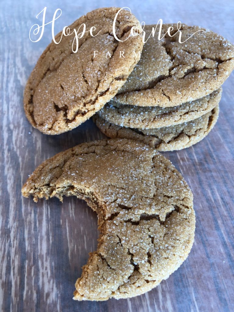 Soft molasses Gingersnap Cookie Recipe Hope Corner Farm