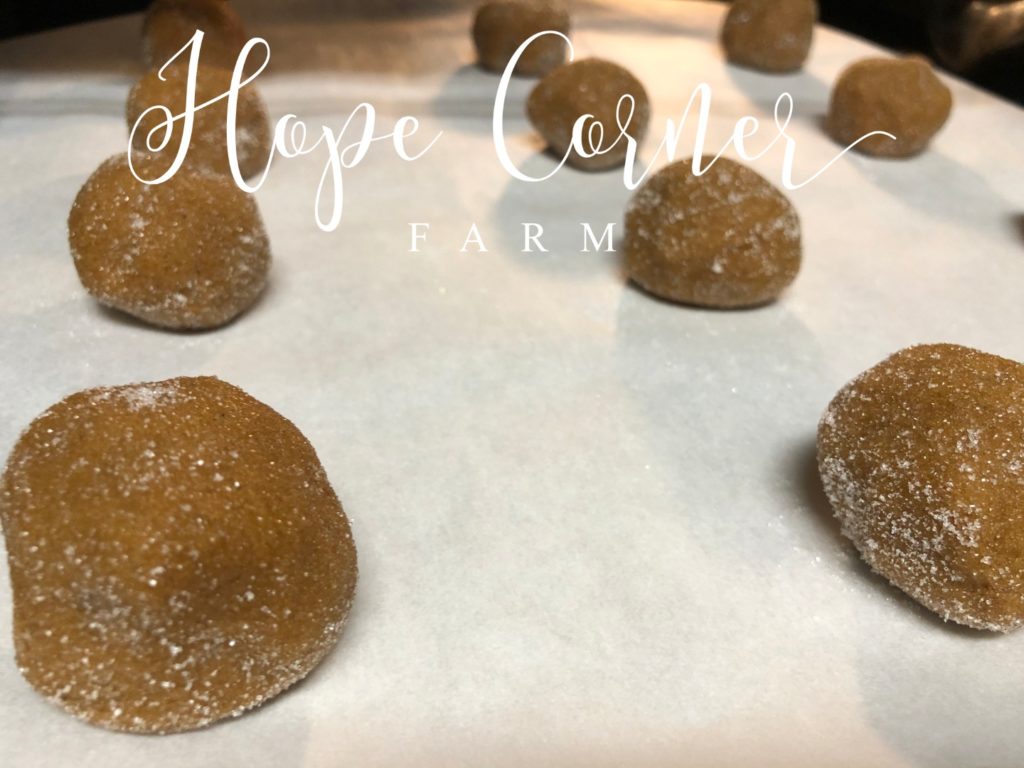 soft gingersnap cookies ready to bake Hope Corner Farm