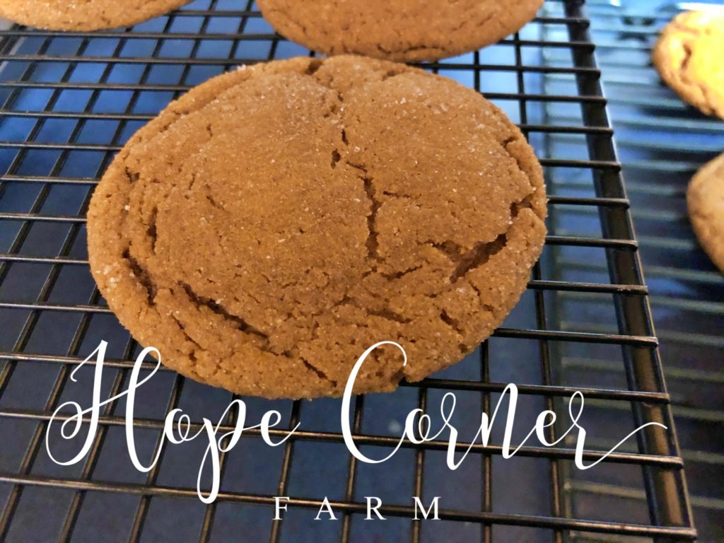 molasses soft gingersnap cookie recipe Hope Corner Farm
