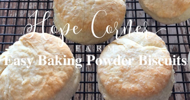 Easy Baking Powder Biscuit Recipe