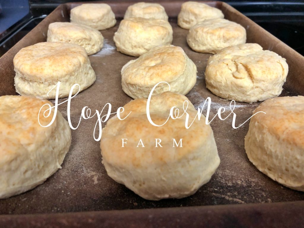 Baking powder biscuits Hope Corner Farm