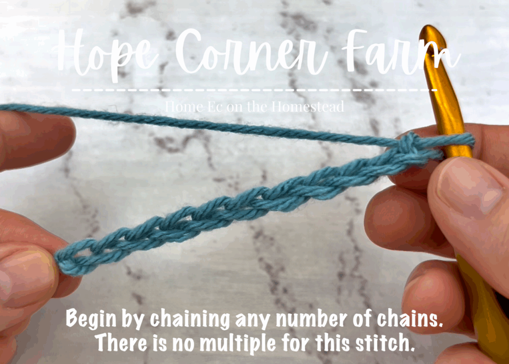 Begin by chaining any number of chains. There is no multiple for this crochet stitch