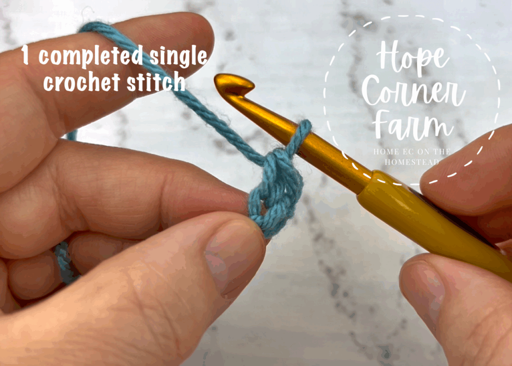 1 completed single crochet stitch