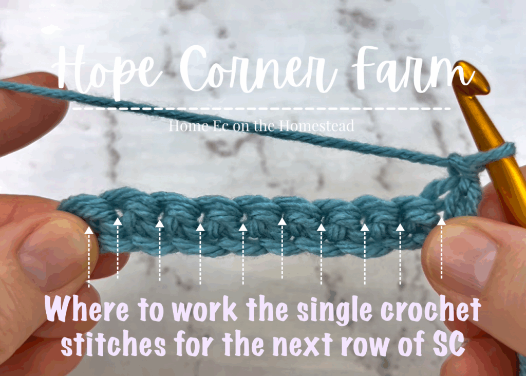 Where to work the single crochet stitches for the next row of SC