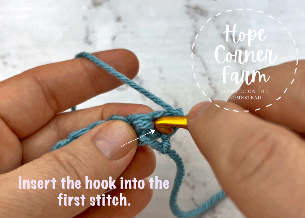 Insert the crochet hook into the 1st stitch