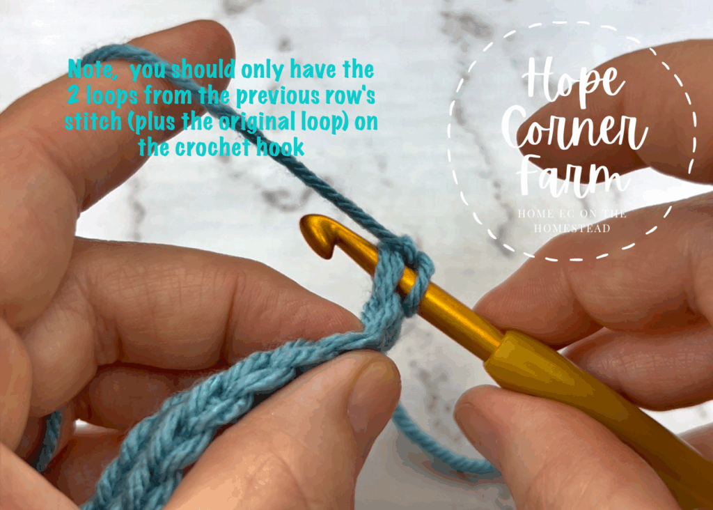 Make sure to pick up both loops from the top of the crochet stitch