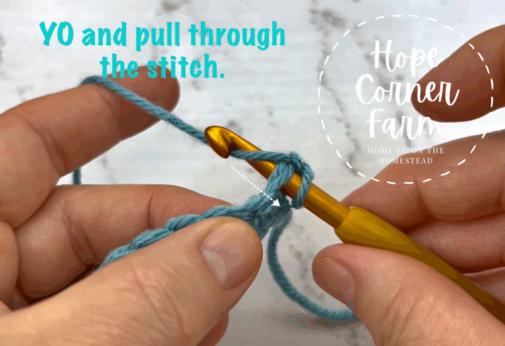 Yarn Over and pull through the crochet stitch