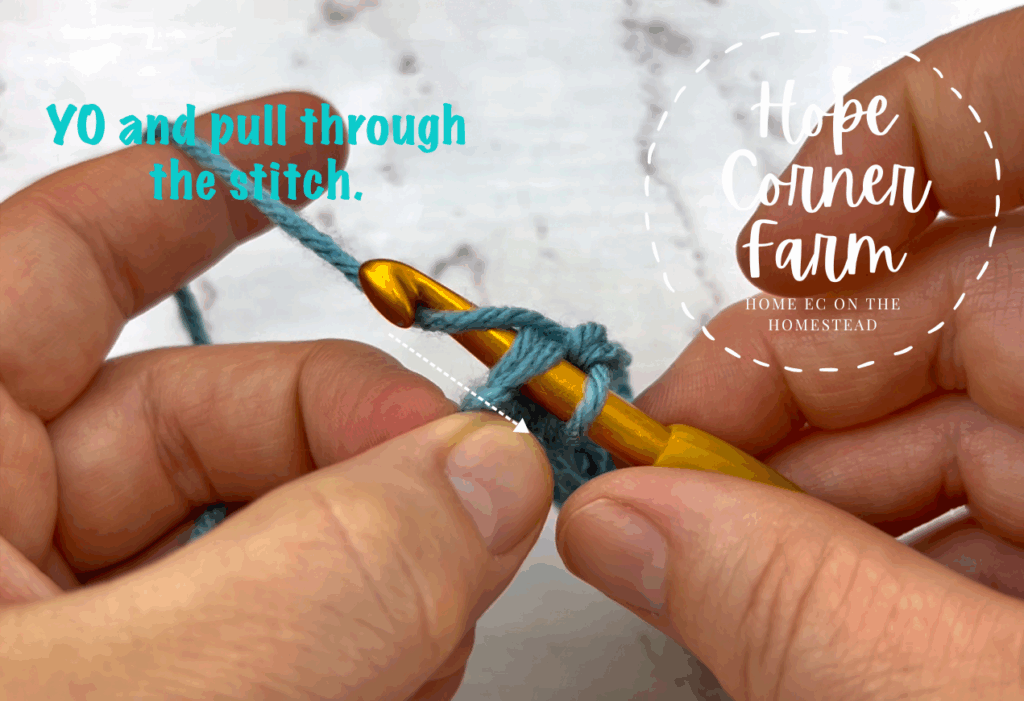 YO and pull through the crochet stitch