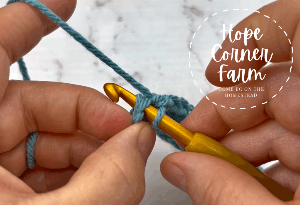 Inserting the crochet hook