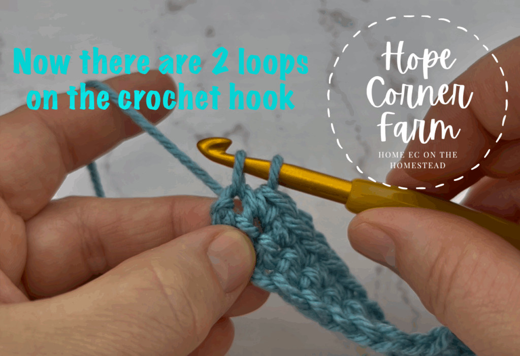 Now there are 2 loops of yarn on the crochet hook