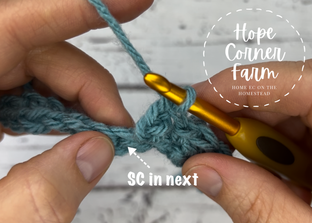 Where to place the next single crochet stitch