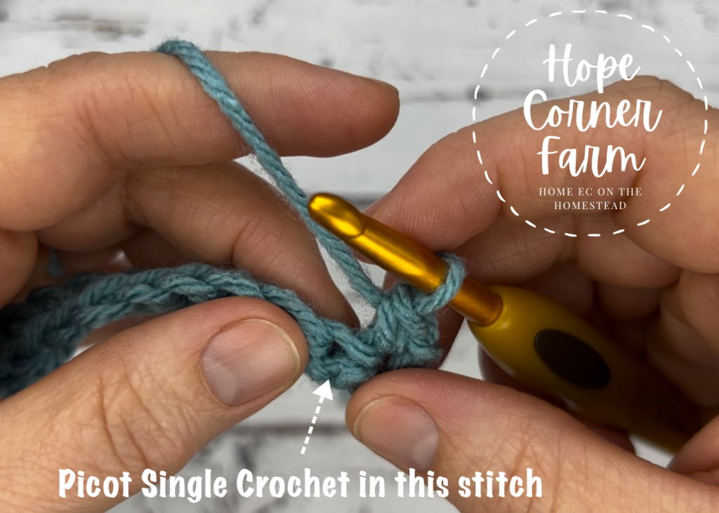 Where to place the Picot Single Crochet Stitch