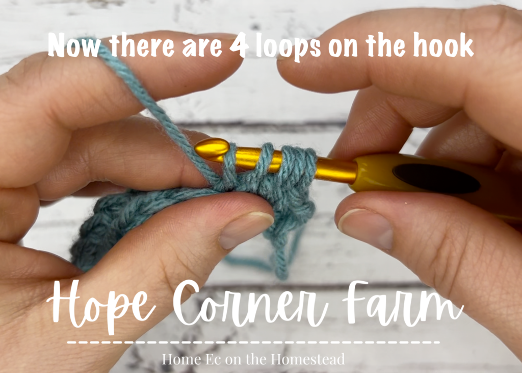 5 loops on the crochet hook