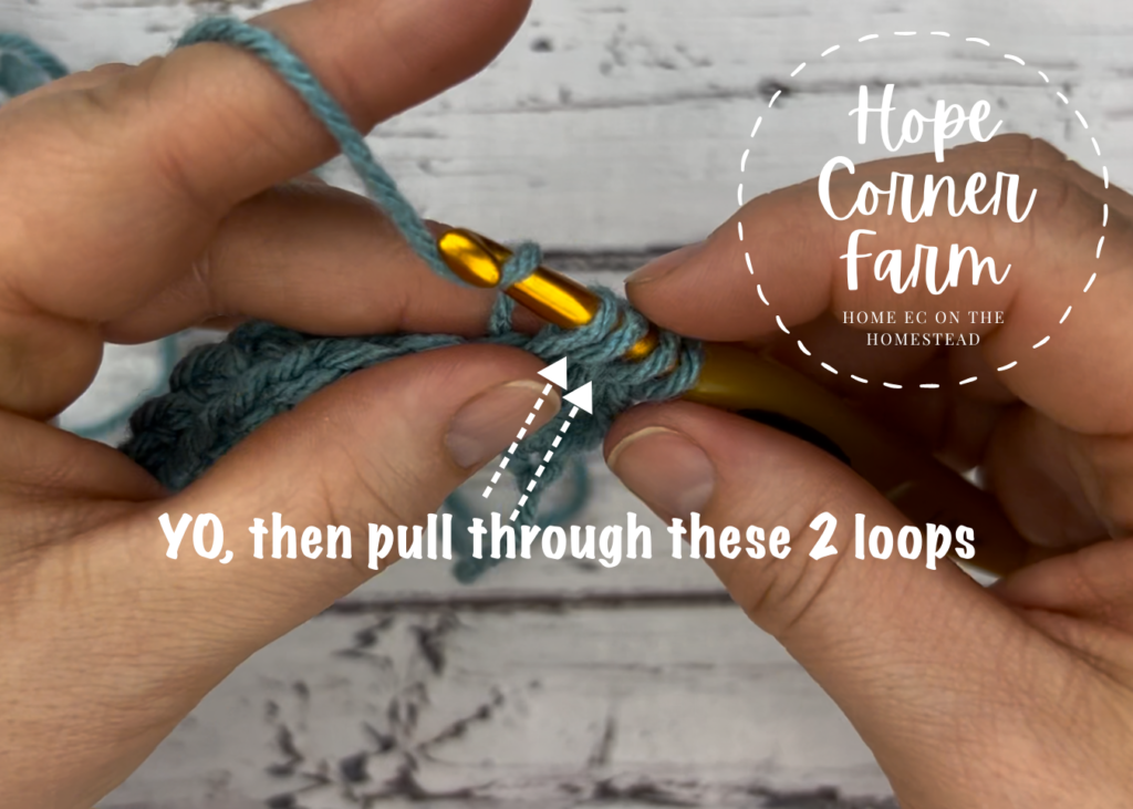 Pull through 2 loops on the crochet hook