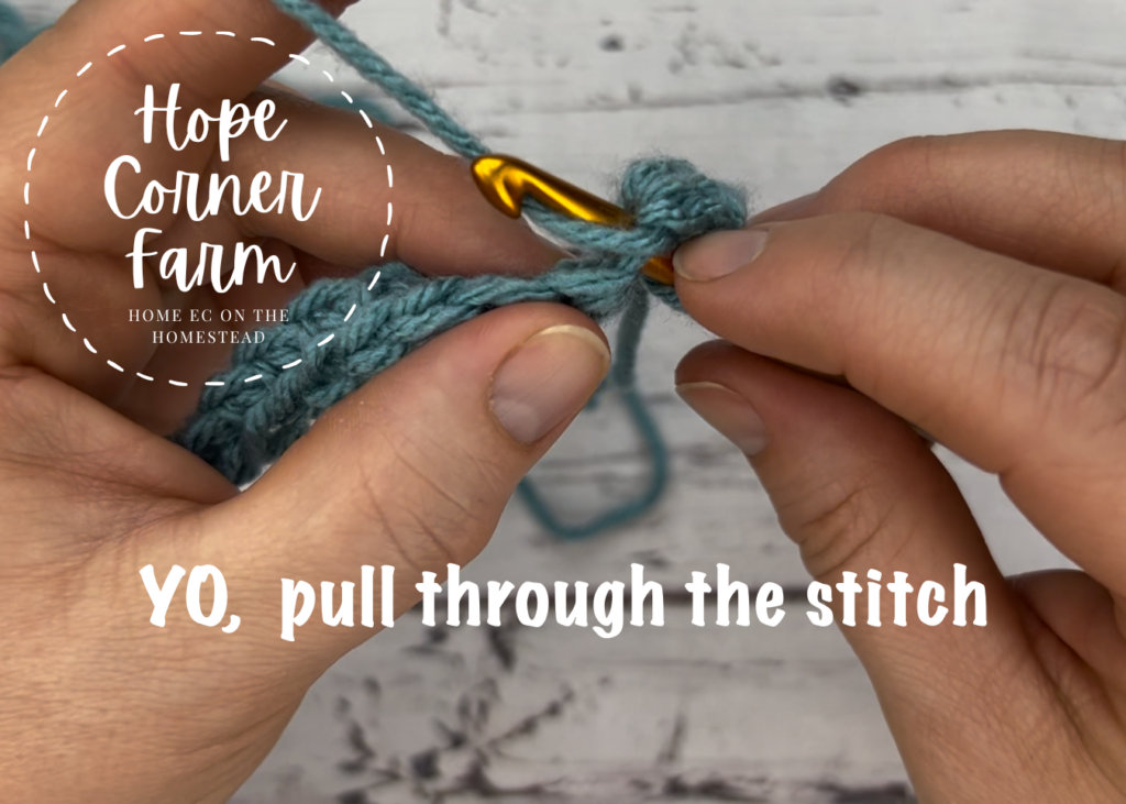 yarn over and pull through the crochet stitch