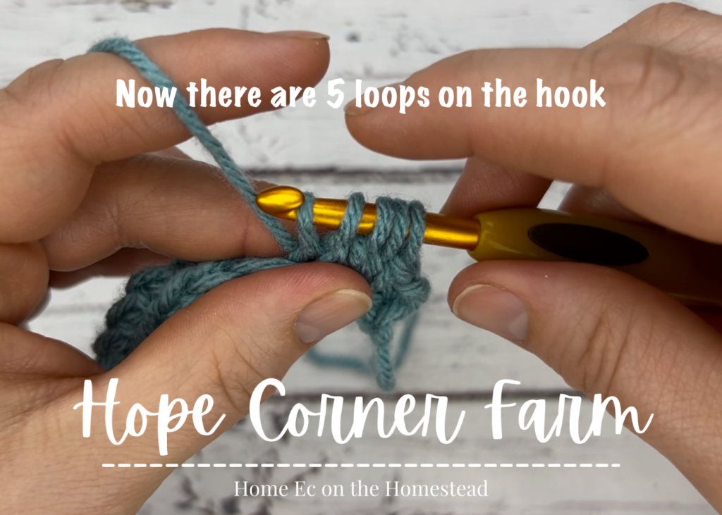 5 loops on the crochet hook