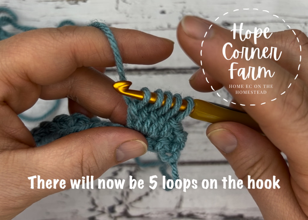5 loops on the crochet hook spot stitch in crochet