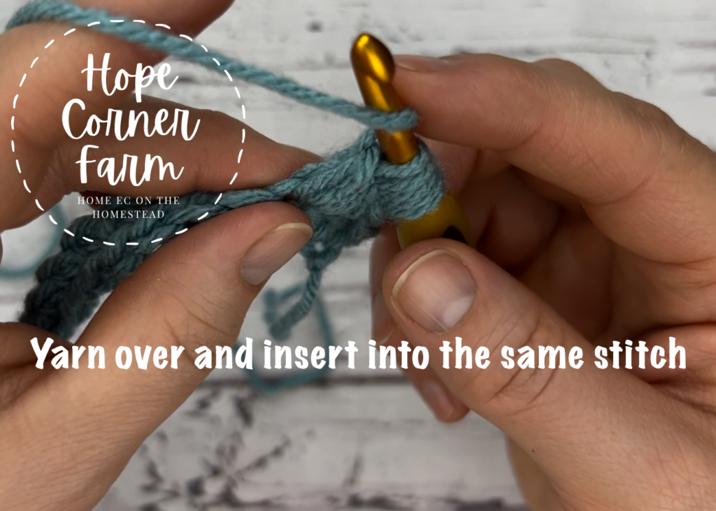 Spot stitch in crochet step 6