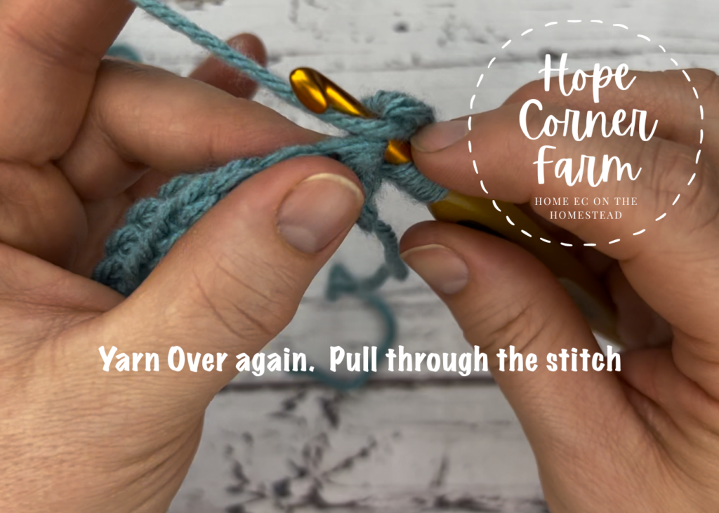 yarn over pull through the stitch