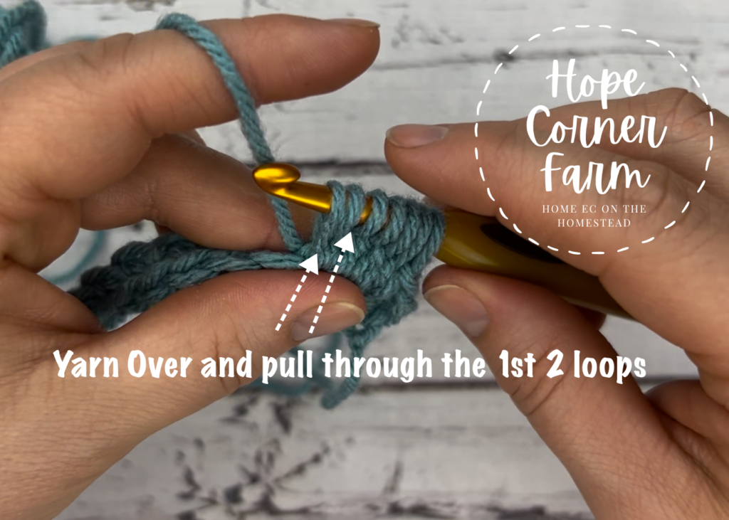 pull through the 1st 2 loops on the crochet hook