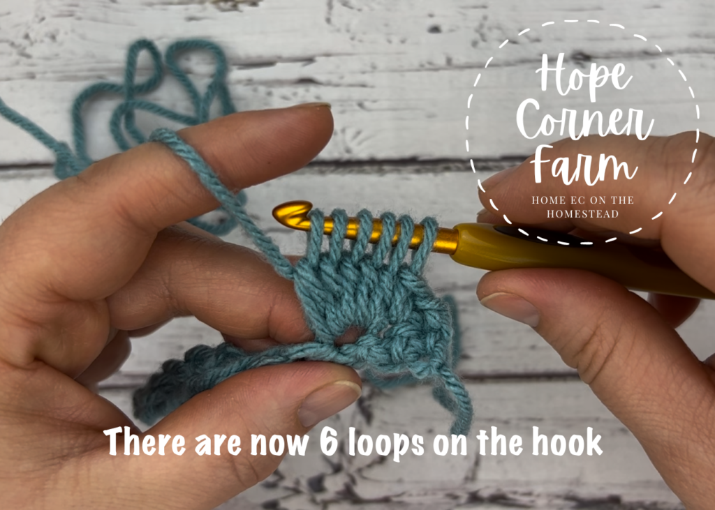 6 loops on the hook for the spot stitch in crochet