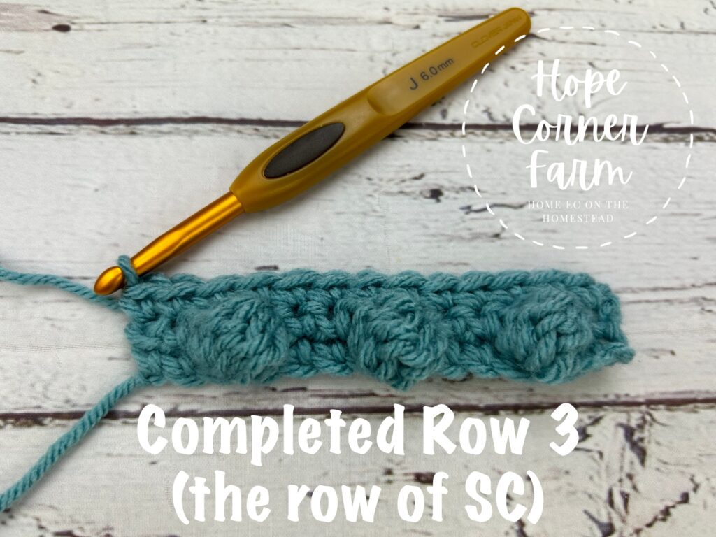 Row 3 single crochets