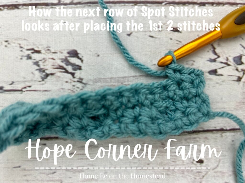 Starting a Spot Stitch row