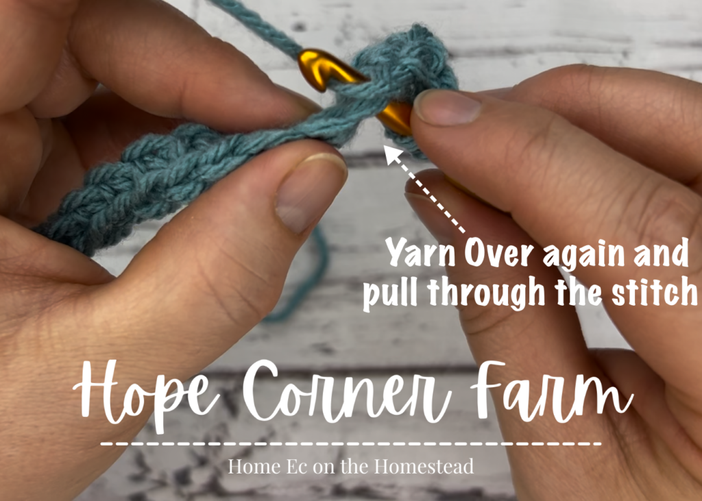 Yarn over and go through the stitch