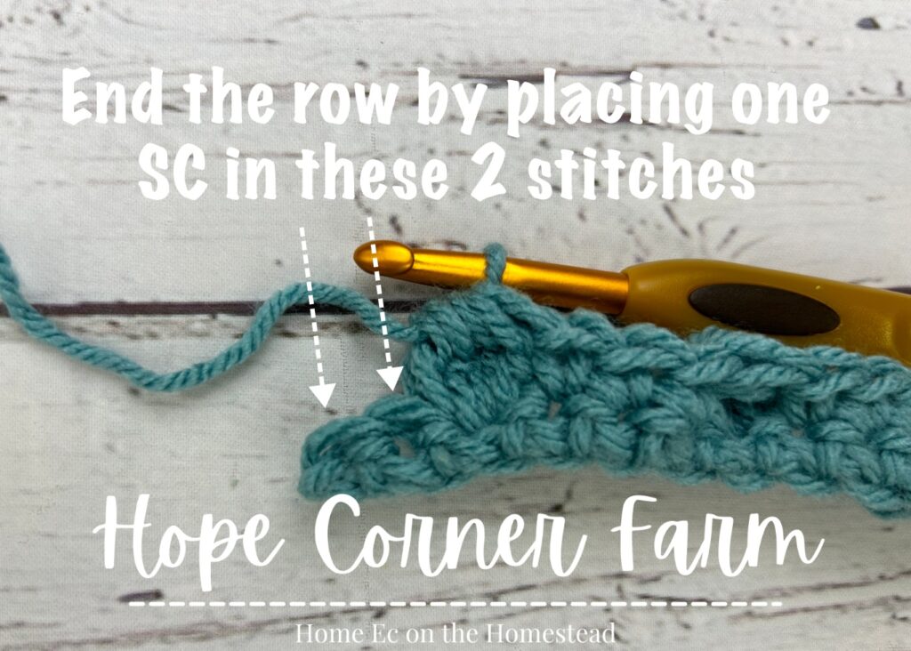 Ending the Spot Stitch row with 2 sc