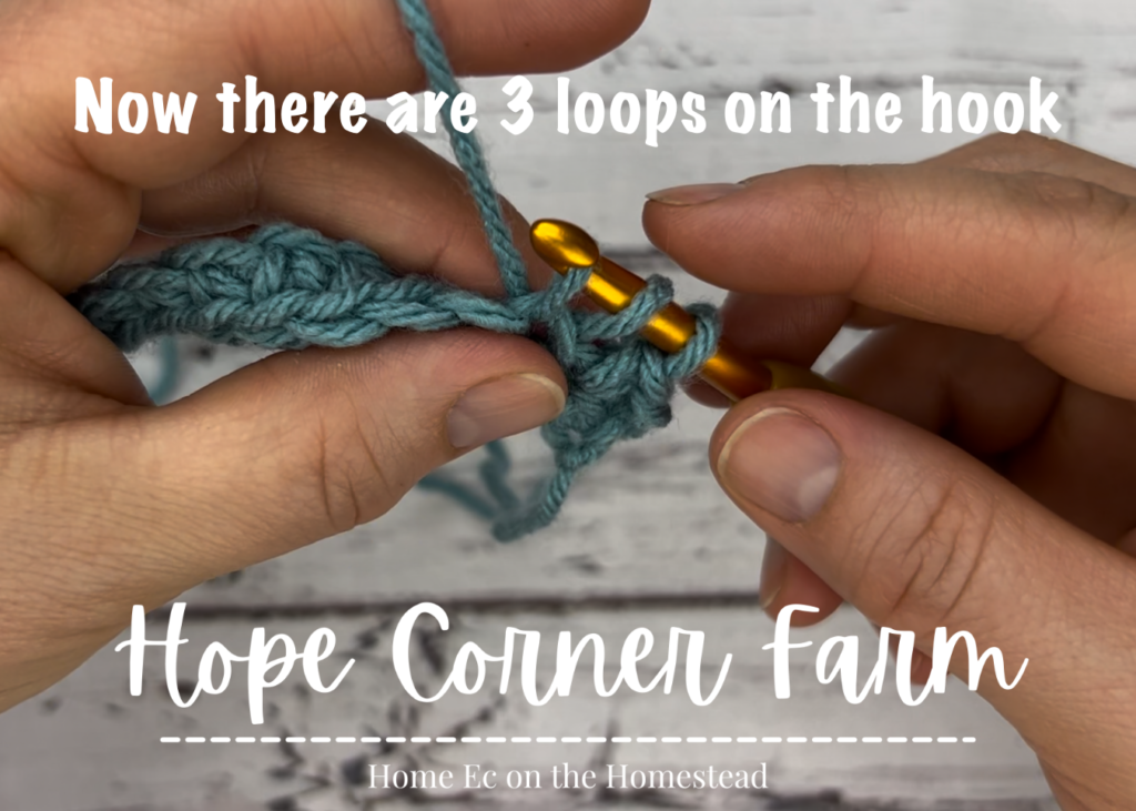 3 loops on the crochet hook