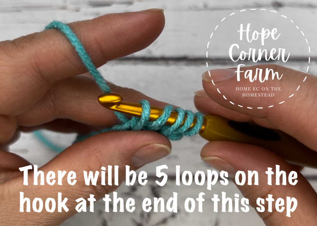 5 loops on the crochet hook