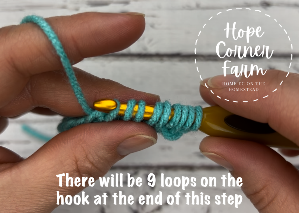 9 loops on the crochet hook