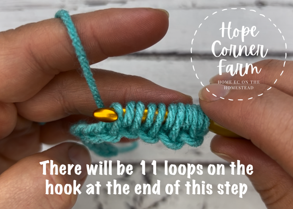 11 loops on the crochet hook
