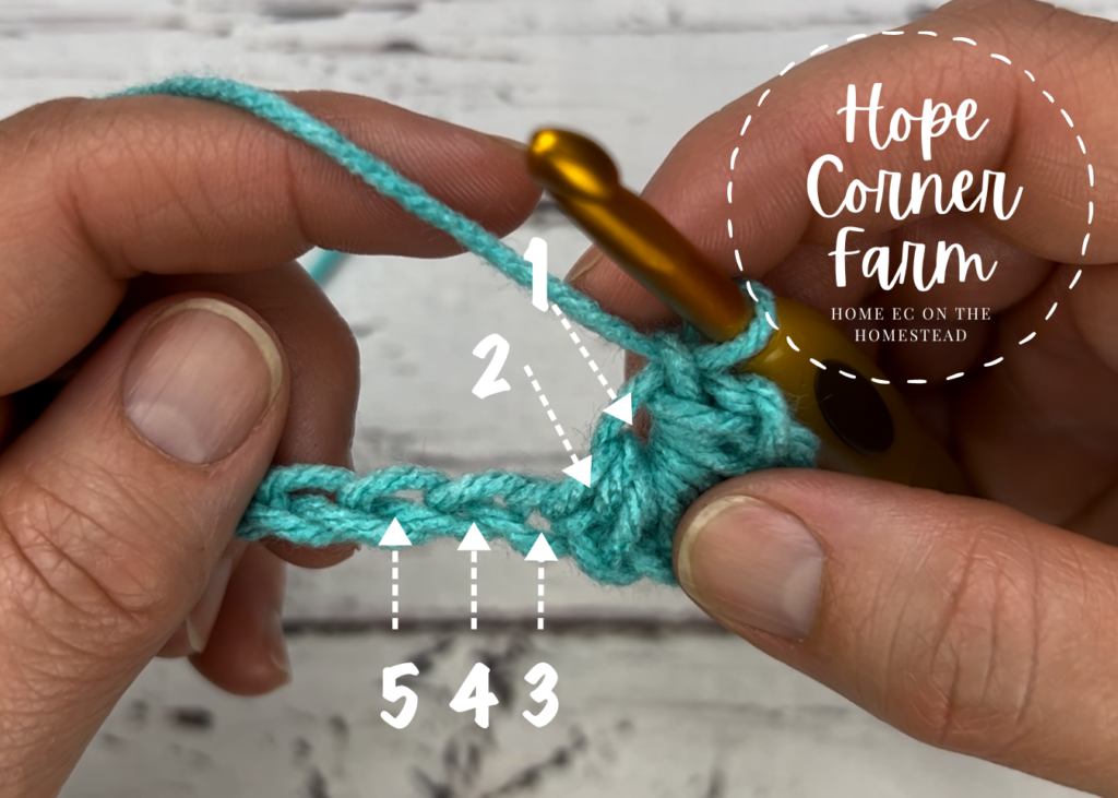 Where to place the hook for the next Marguerite Stitch