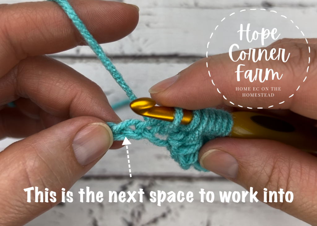 Where to put the crochet hook for the next step