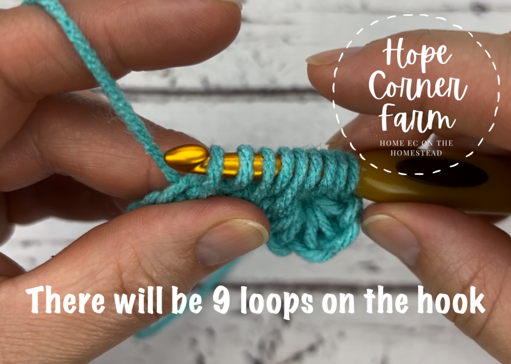 now there are 9 loops on the crochet hook
