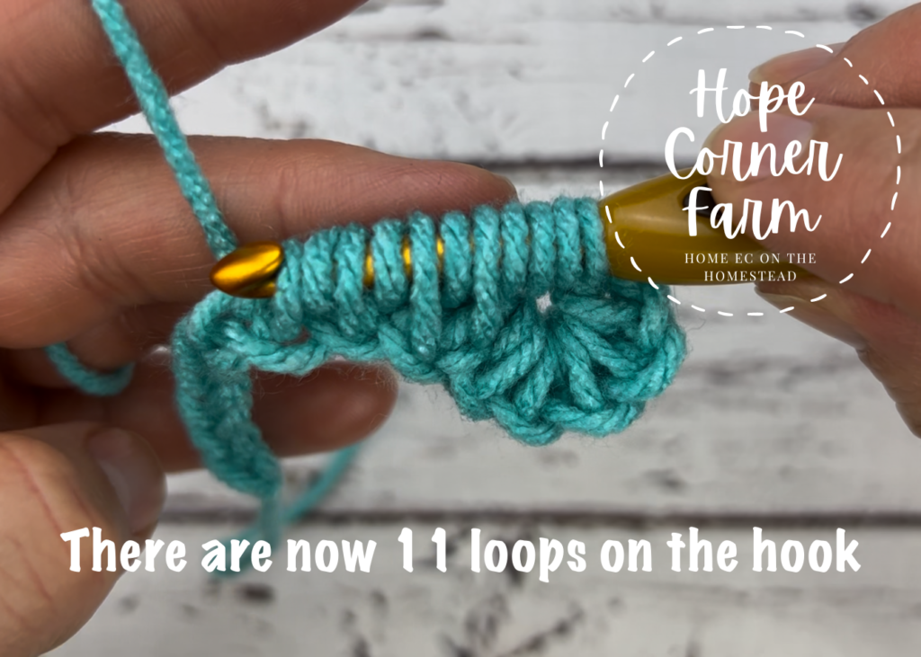 11 loops on the crochet hook