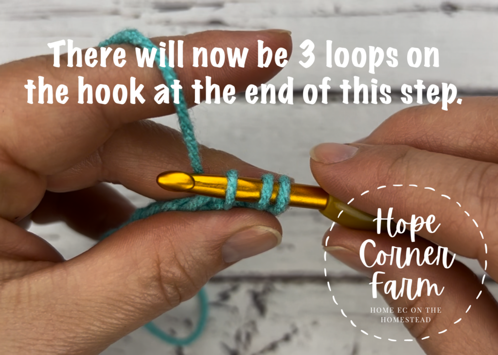 3 loops on the crochet hook