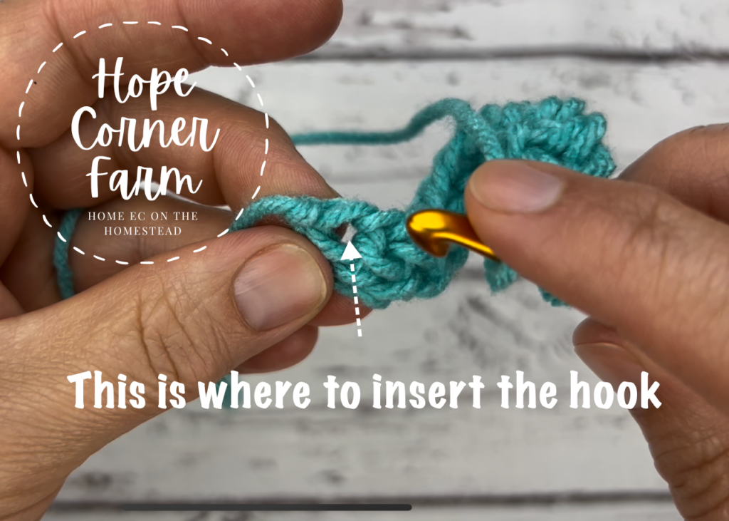 Where to place the crochet hook