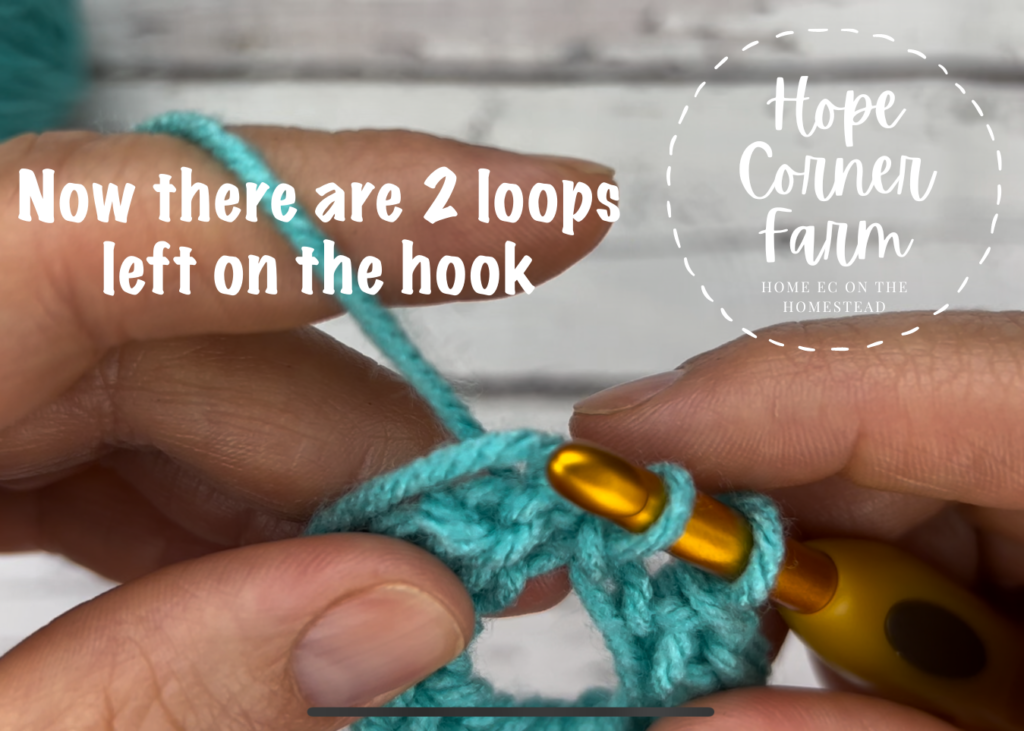 2 loops on the crochet hook now hope corner farm crochet
