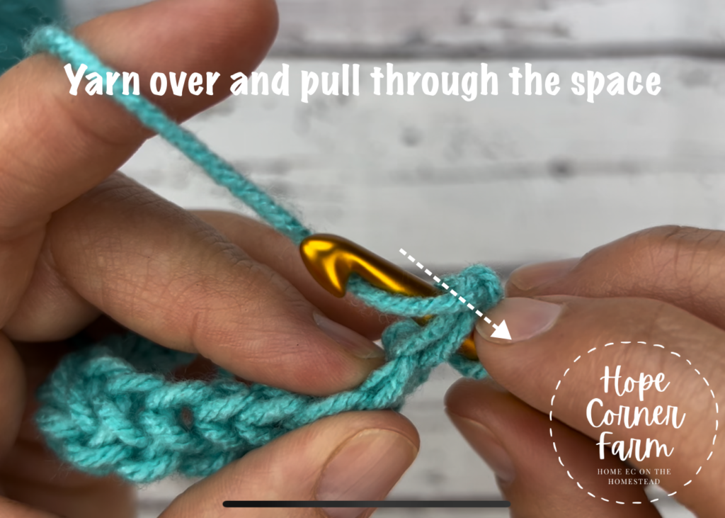 Yarn Over and pull through the crochet stitch