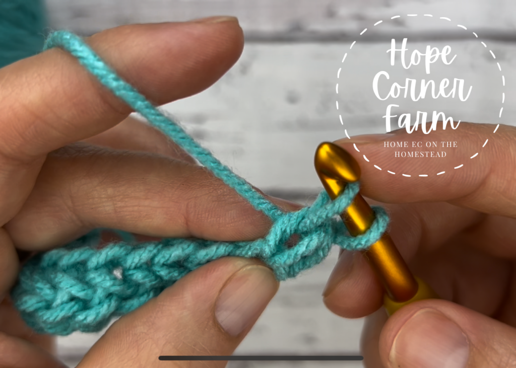 2 loops on the crochet hook