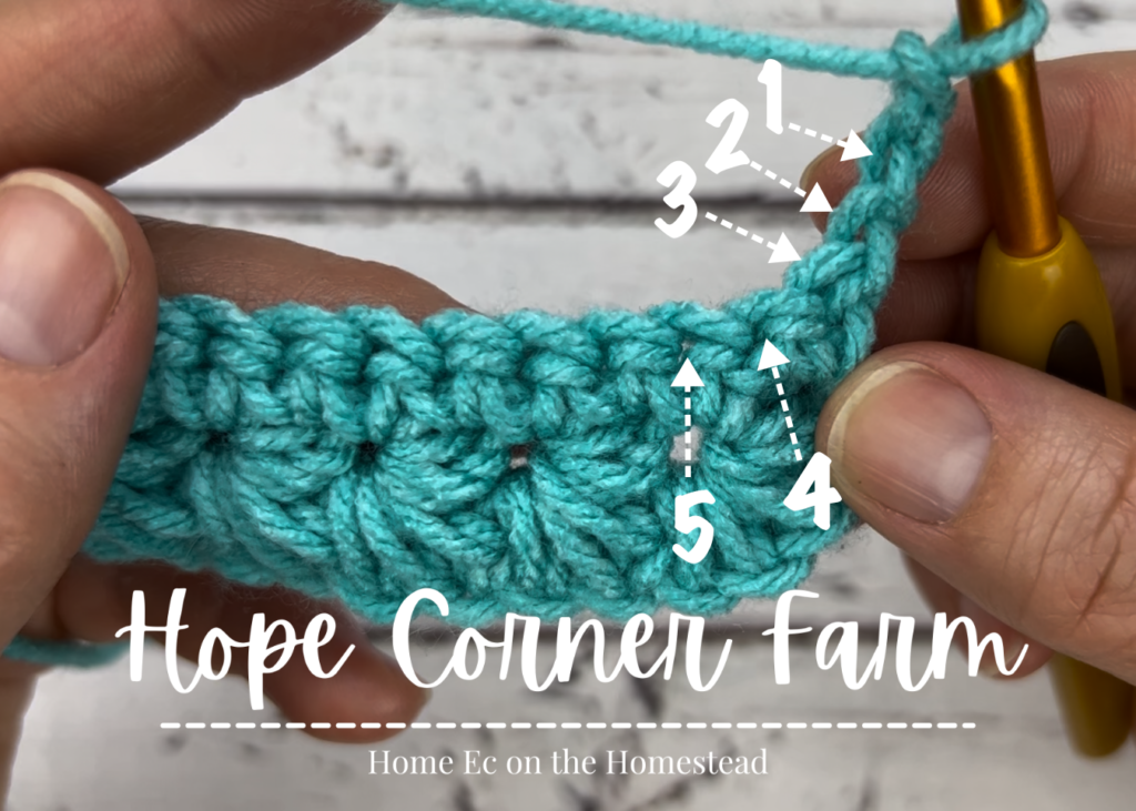 Where to place the crochet hook for the next stitch