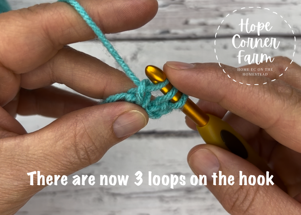 Again there are 3 loops on the crochet hook